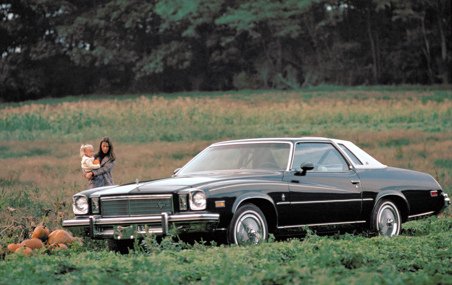 1975 Buick Regal Coupe 