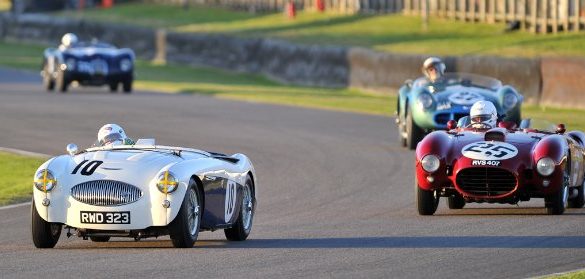 Austin-Healey 100S and Lancia D24 TIM SCOTT