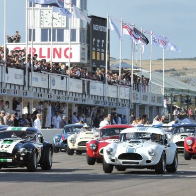 AC Cobra Race - Shelby Cup at Goodwood Revival 2012 TIM SCOTT