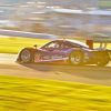 Daytona 24 Hours 2015 Mark Coughlin