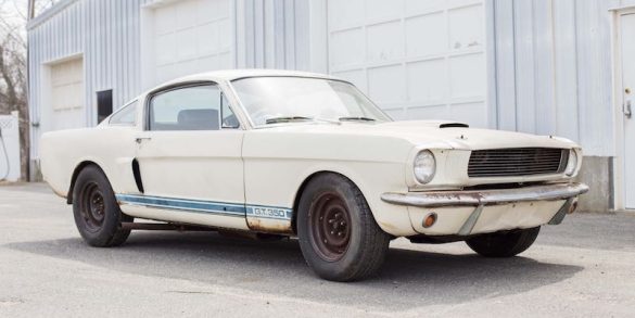 Shelby_rightfront