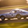 Ferrari 250 GT SWB Berlinetta Comp Drew Gibson