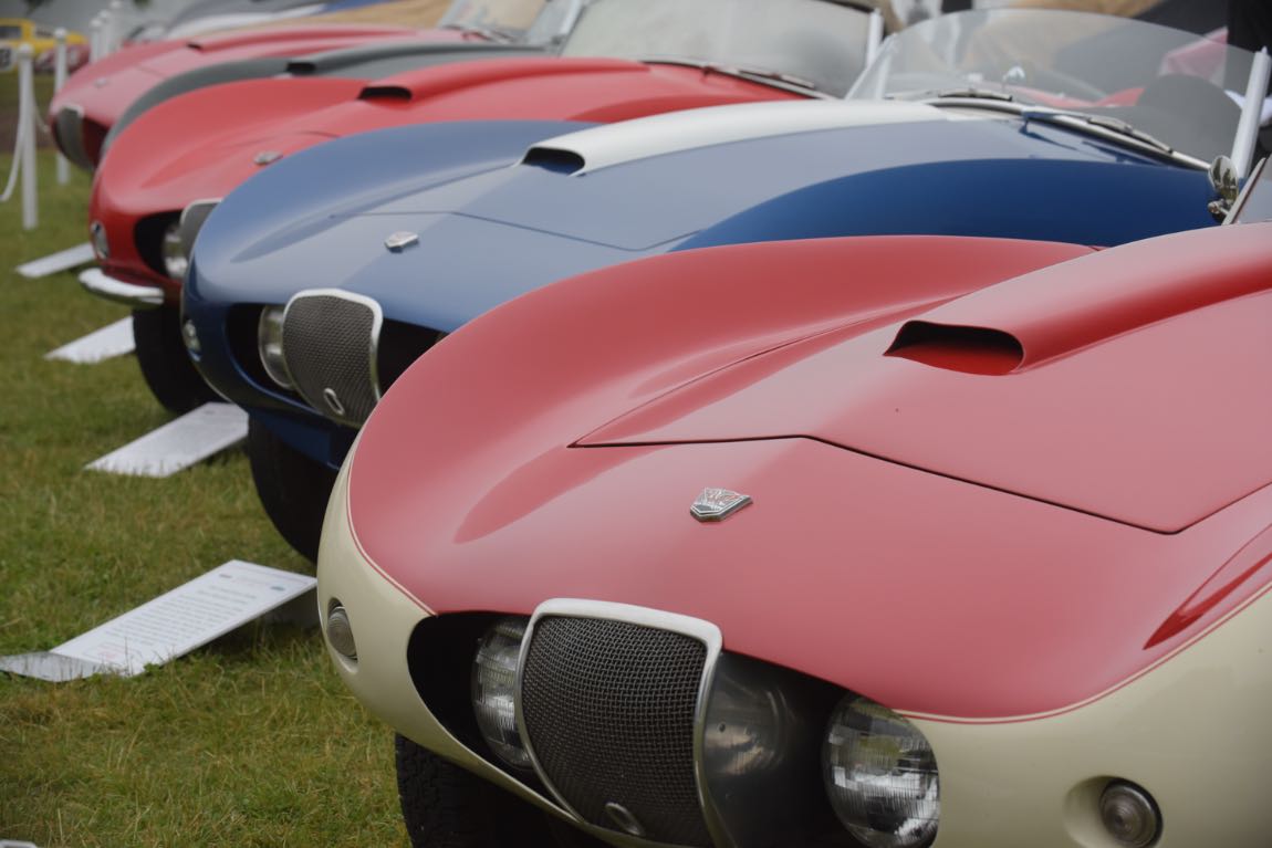 Arnolts were featured at the Greenwich Concours d'Elegance 2019