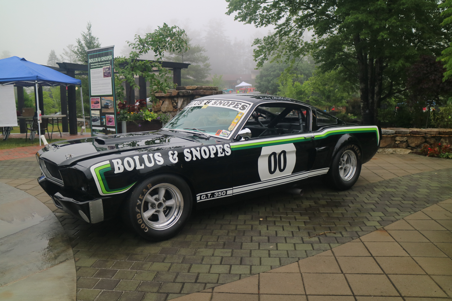What a great racer - Bolus & Snopes GT 350.