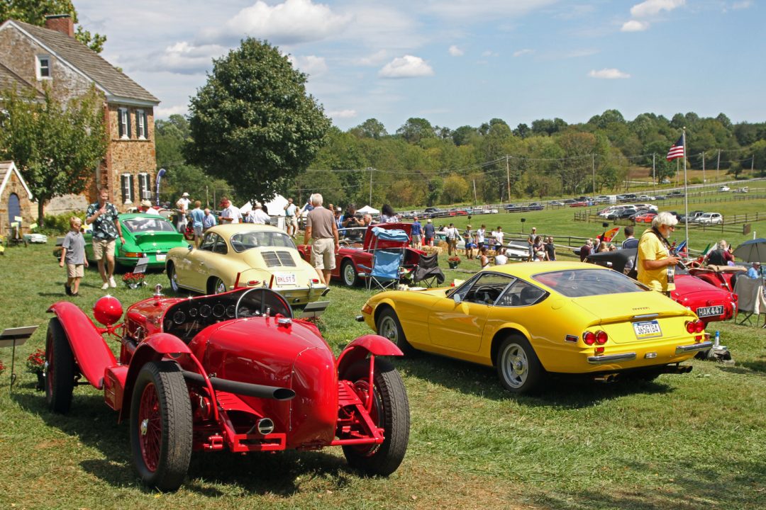 Radnor Hunt Concours Photo Gallery