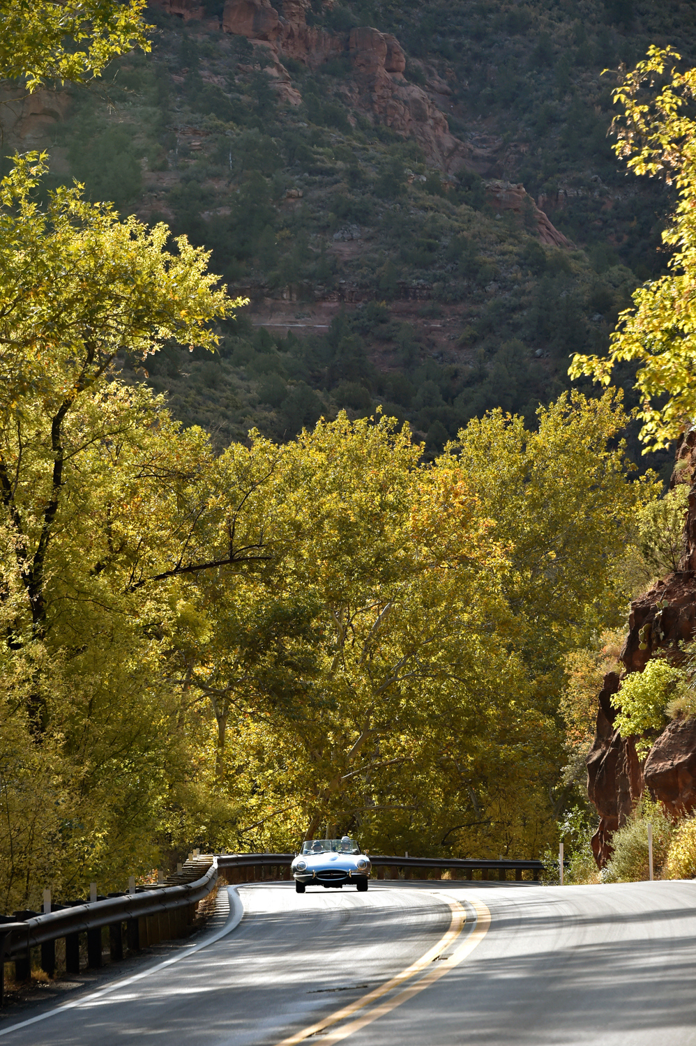 63 Jaguar E-Type-Mike Ferring-Autumn Leaves #6385 .jpg