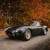 2021 Mecum Kissimmee Auction