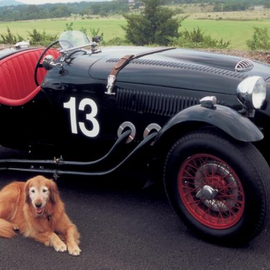 Frazer Nash Le Mans Replica