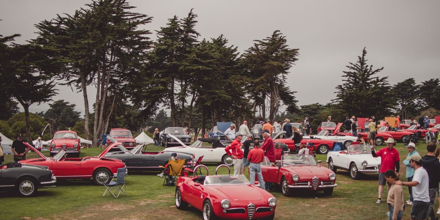 Alfa Romeo's on the green