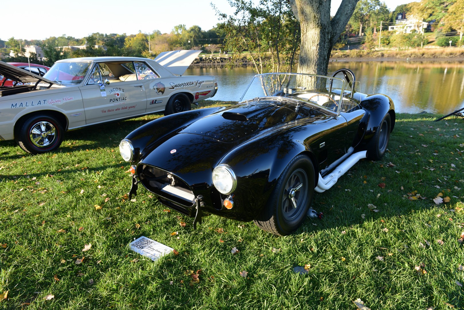 1965 Shelby Cobra Competion. Owers: Ross and Beth Myer.