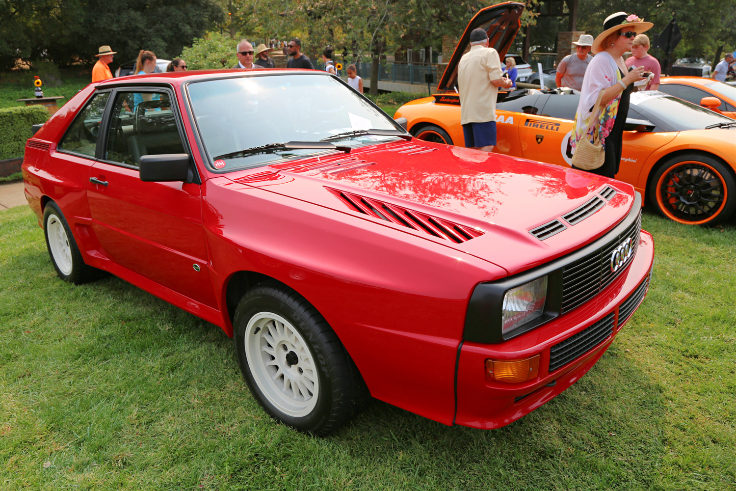 1984 Audi Sport Quattro  Curtis Popp