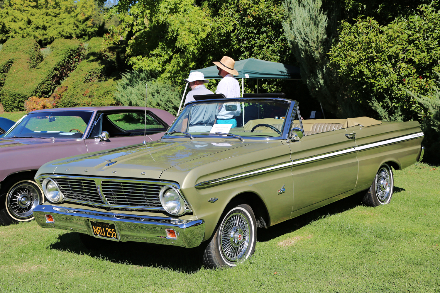 1965 Ford Falcon Convertible  Willem Emmer
