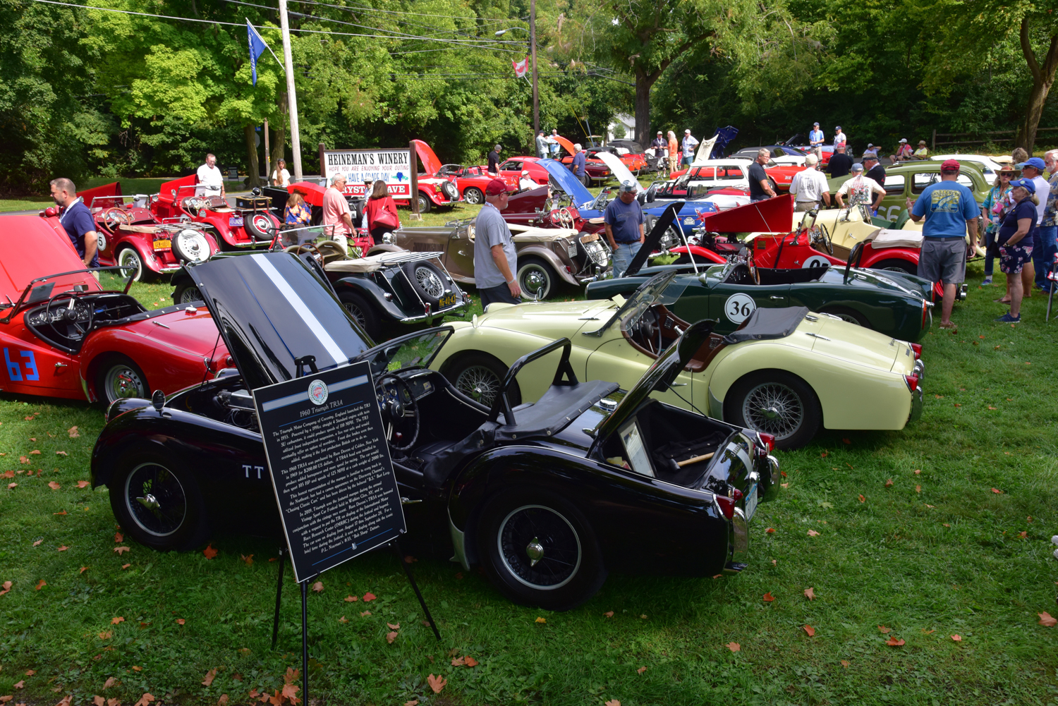 Many gorgeous Triumphs and MGs graced the car show at Heineman’s Winery. DANIEL MAINZER