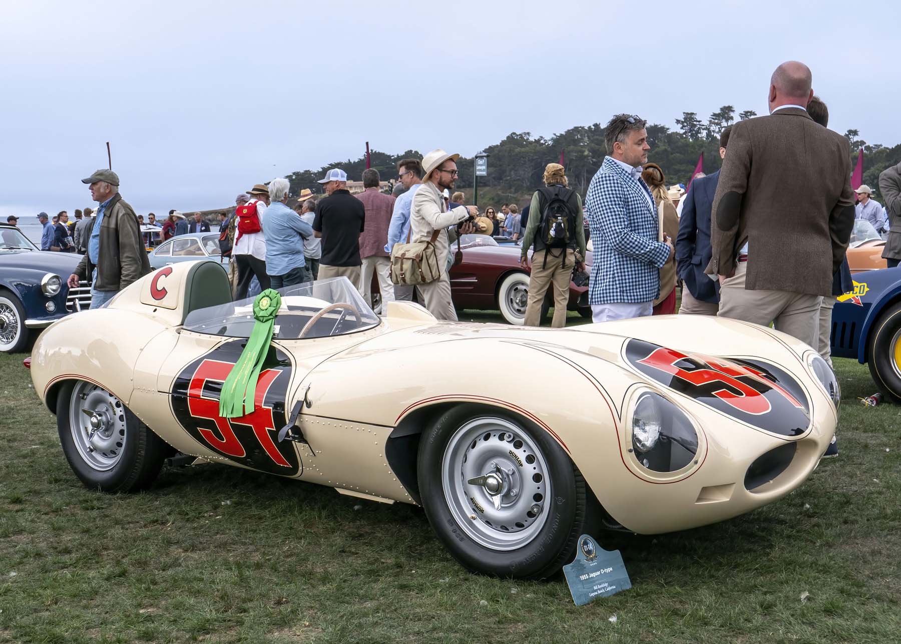 1955 Jaguar D-Type in the Post-War Competition Class. Photo © 2023 Rex McAfee 