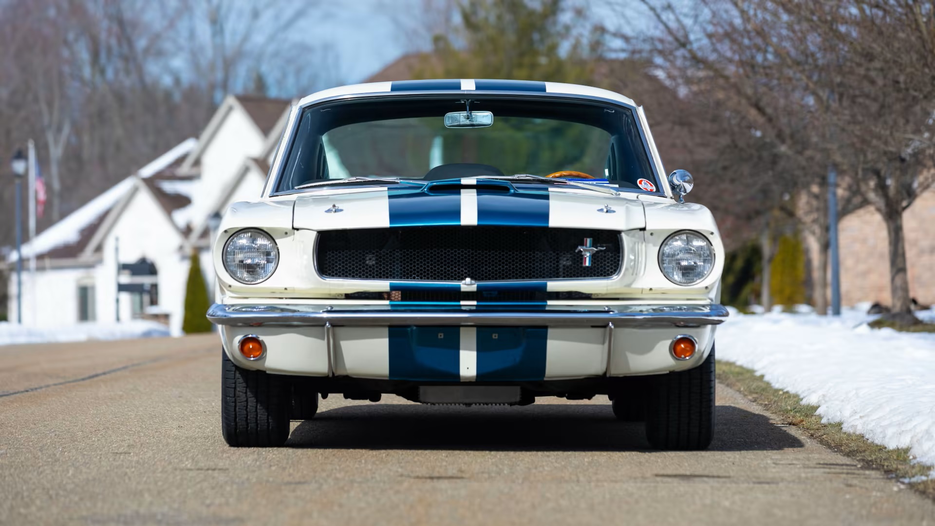  1965 Shelby GT350