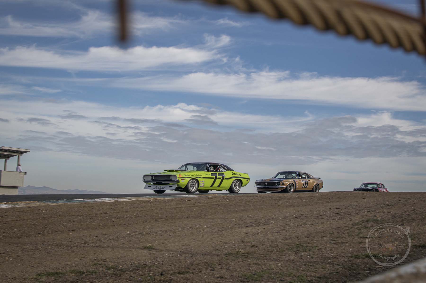 A 1970 Dodge Challenger leads the Historic Trans Am group over the hill into Turn 4 at Sonoma Raceway