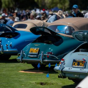 A variety of Porsche 356's line the show field