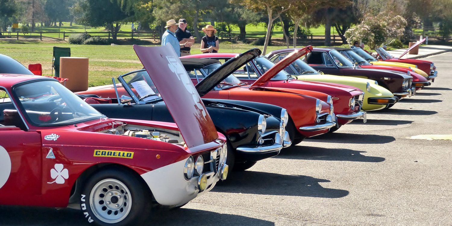 Classic Alfa Romeo automobiles lined up at a car show