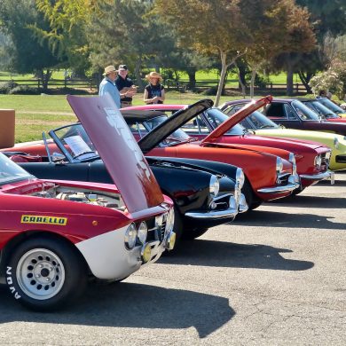 Classic Alfa Romeo automobiles lined up at a car show