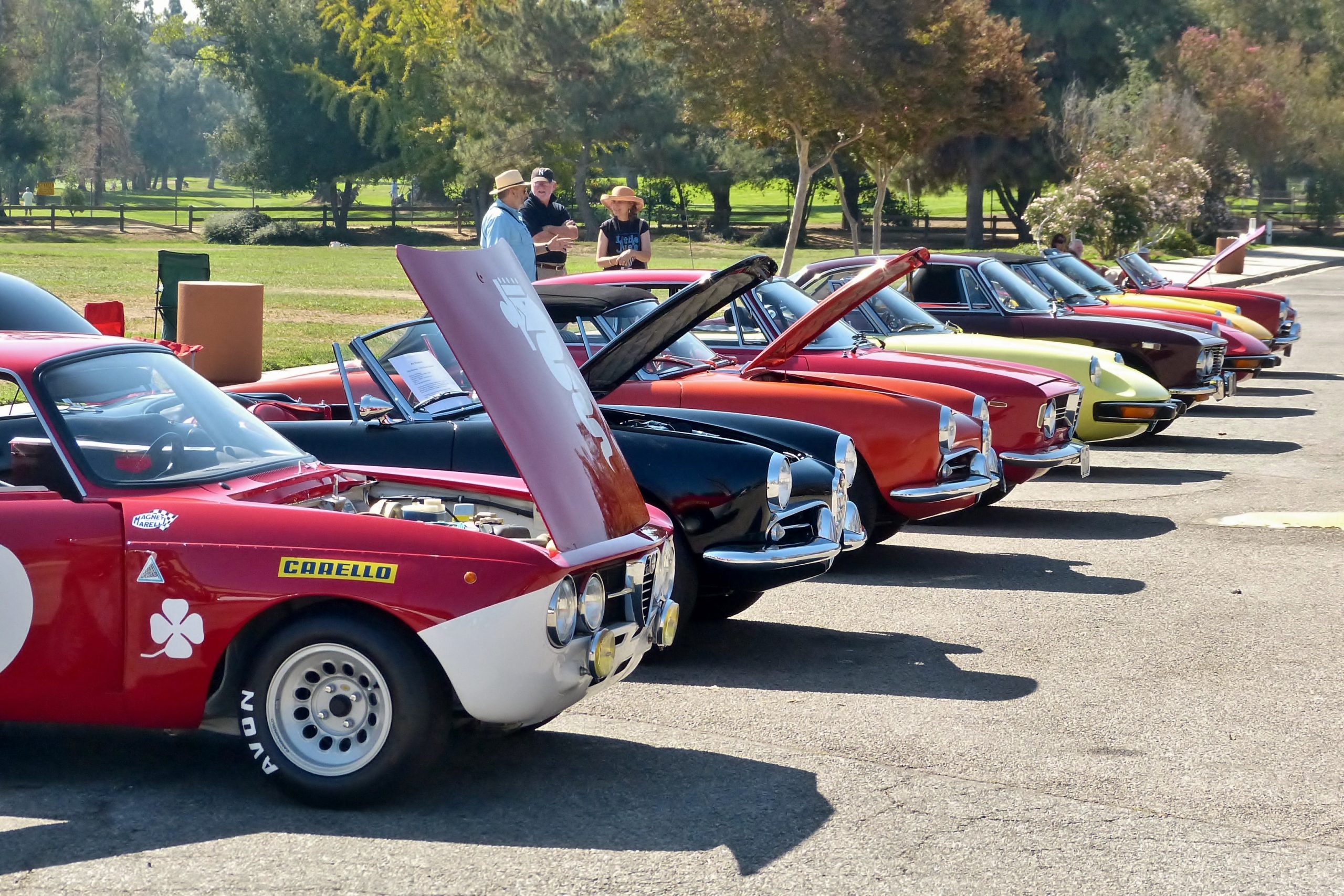 Classic Alfa Romeo automobiles lined up at a car show
