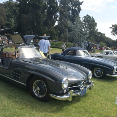 Mercedes 300 SL-Gullwing & Roadsters Class