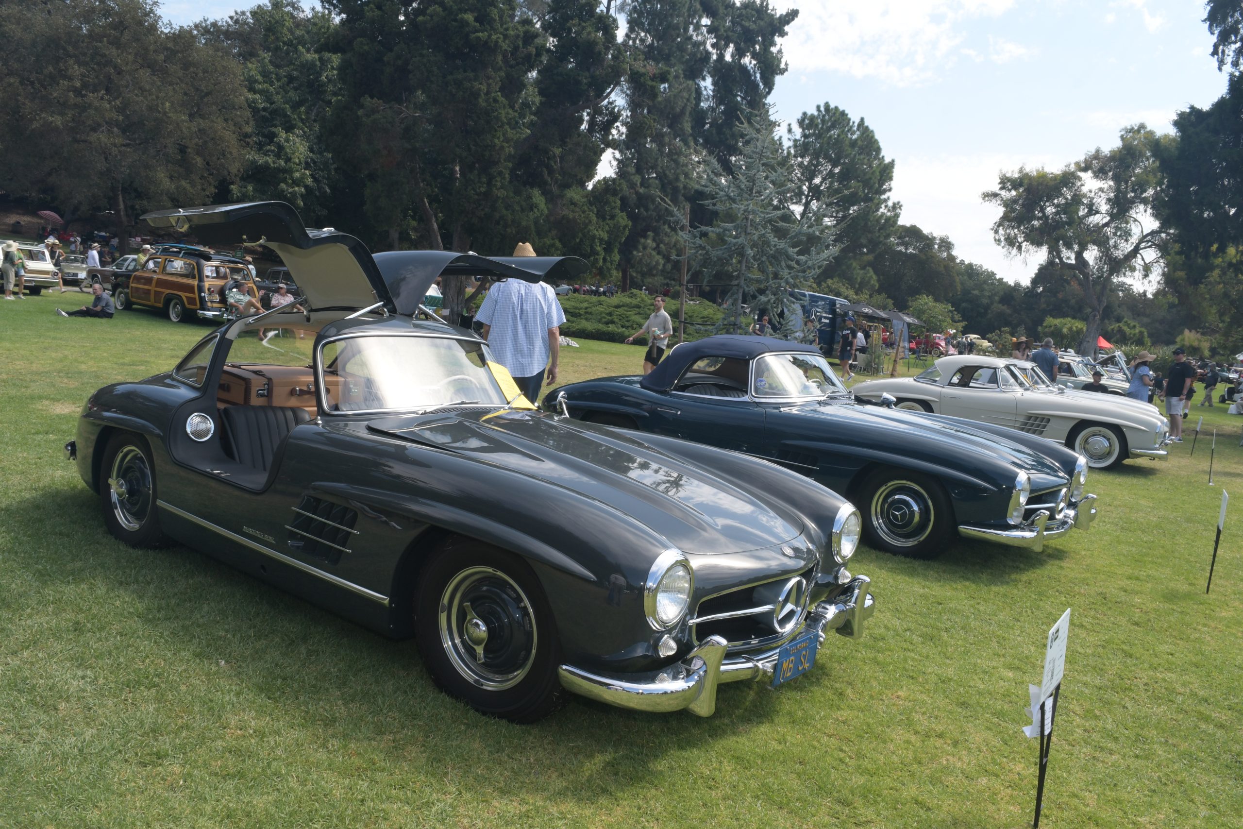 Mercedes 300 SL-Gullwing & Roadsters Class