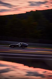 Shelby Cobra Daytona Matty White
