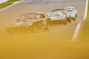 Shelby Cobra Daytona Matty White