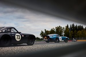 Shelby Cobra Daytona Matty White