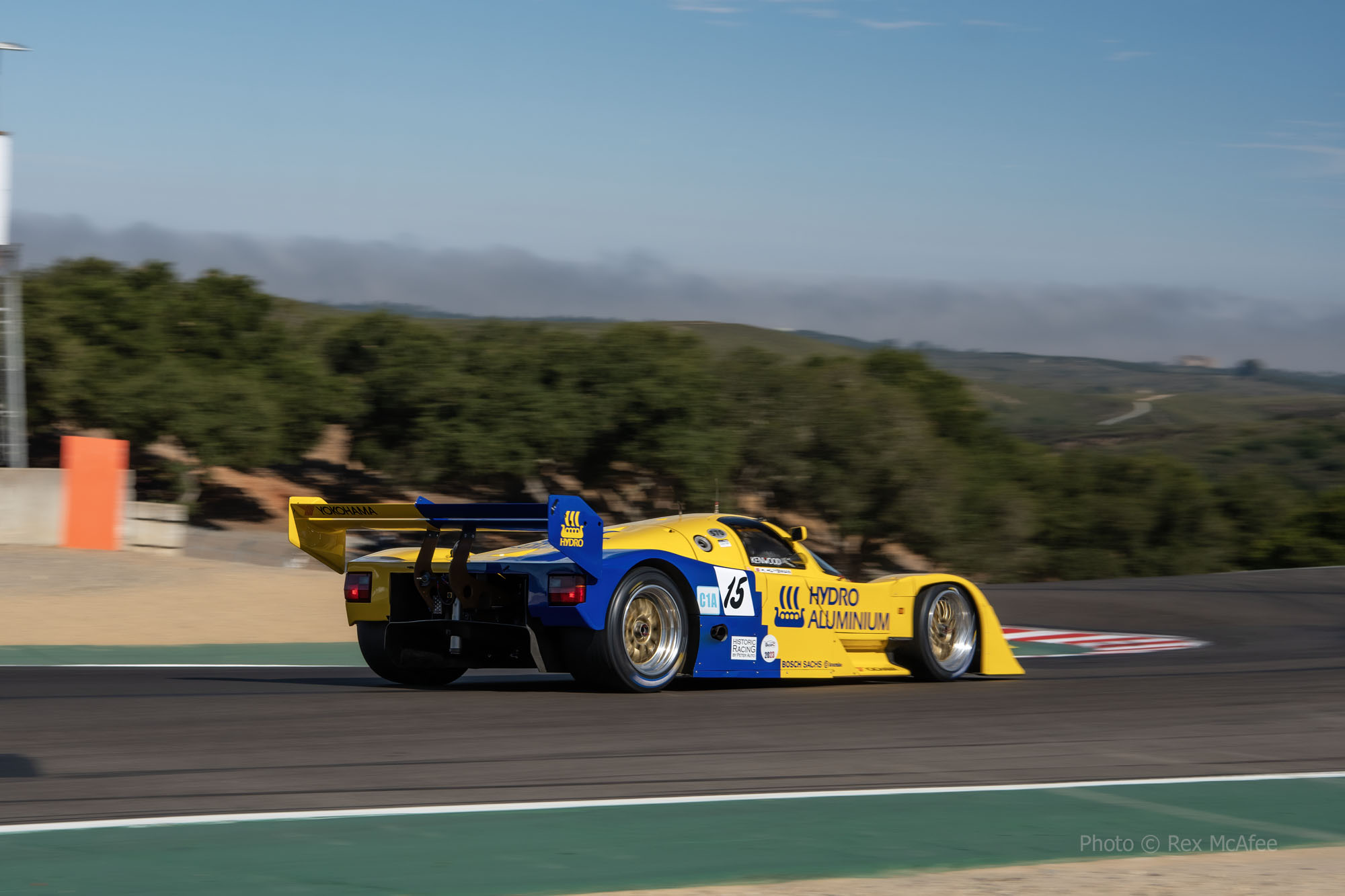 REX MCAFEE rexmcafee@gmail.com