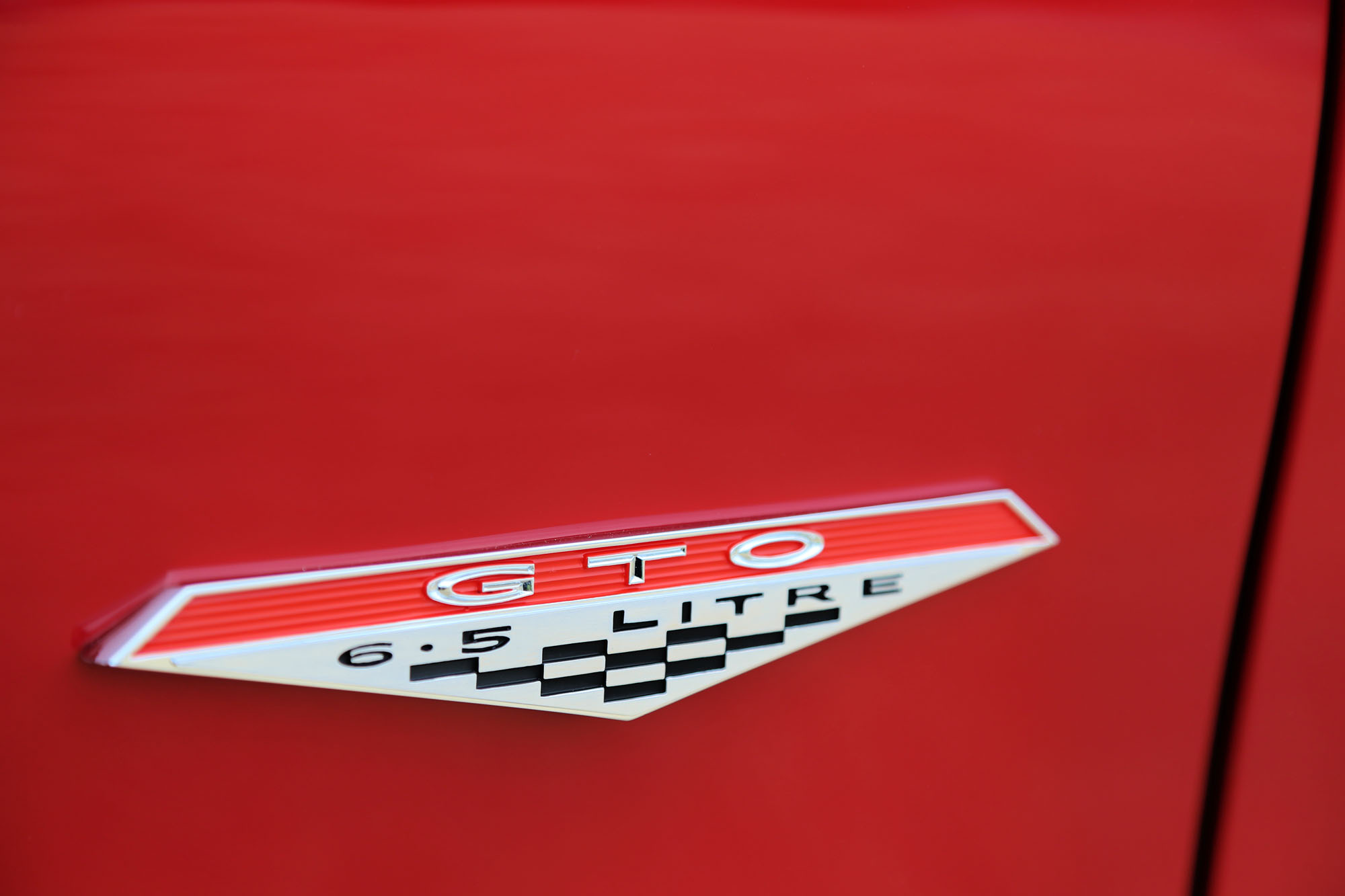 1968 Pontiac GTO Steve Natale Photo