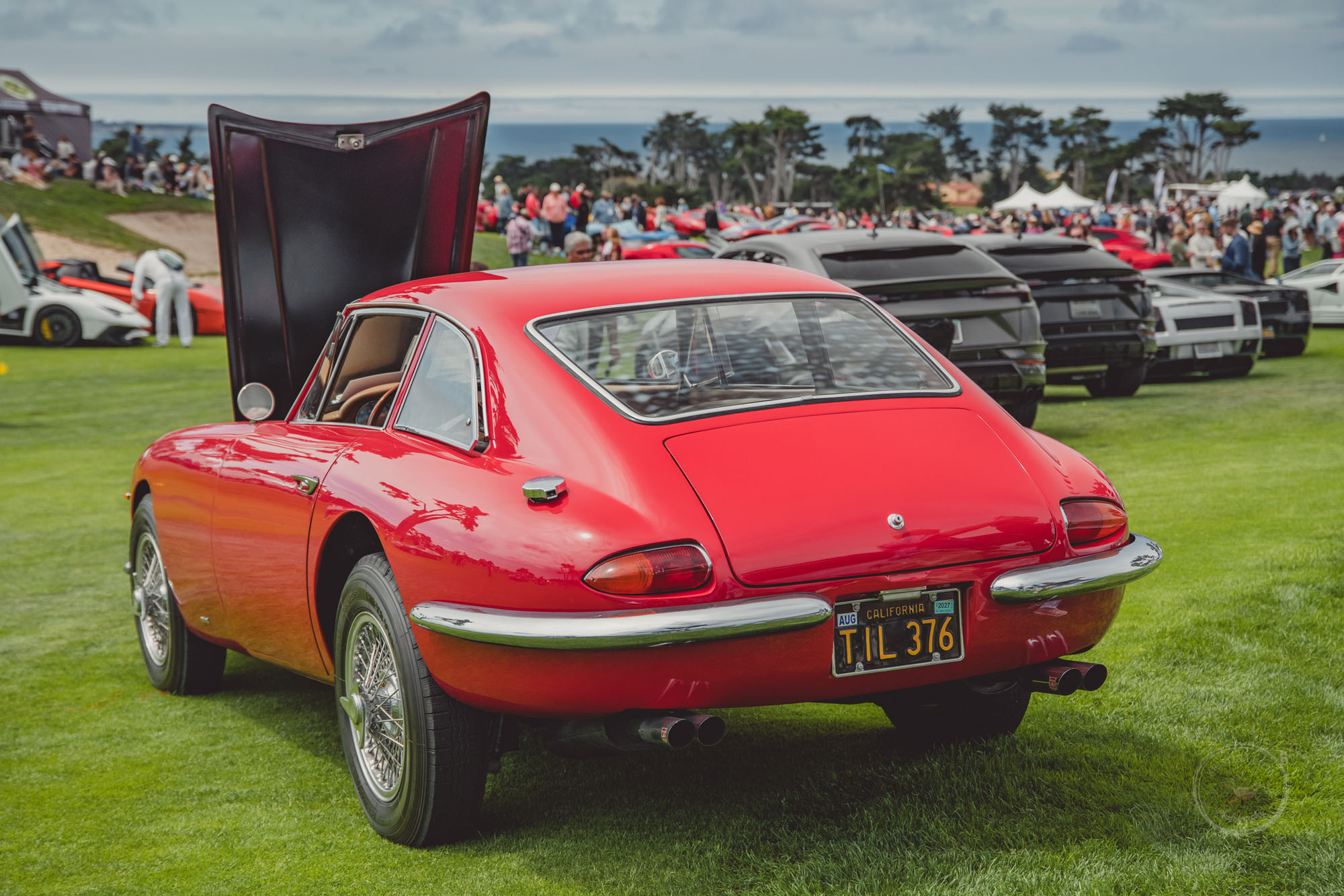 1967 Apollo GT